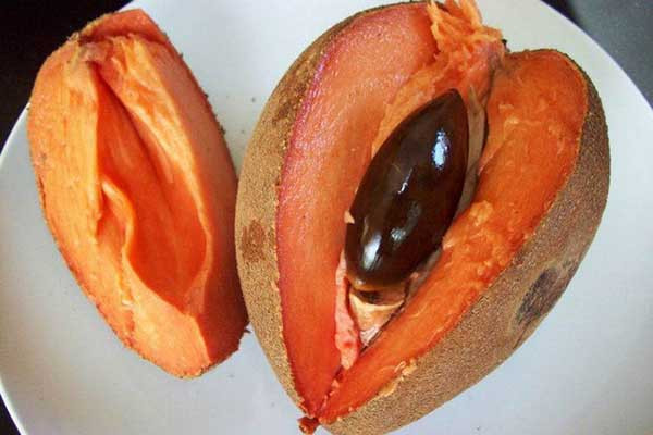 Đúng như tên gọi, hồng xiêm ruột đỏ có thịt quả màu đỏ rất lạ mắt. Ảnh giongcayanqua.