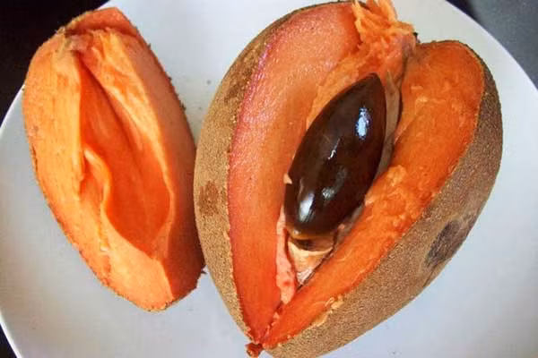 Đúng như tên gọi, hồng xiêm ruột đỏ có thịt quả màu đỏ rất lạ mắt. Ảnh giongcayanqua.