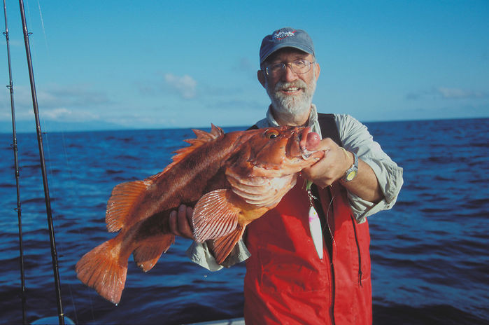 Cá Rougheye có tên khoa học là Sebastes aleutianus. Đây là một trong những loài cá cực dị, sống lâu nhất trên trái đất. Ảnh bestie.