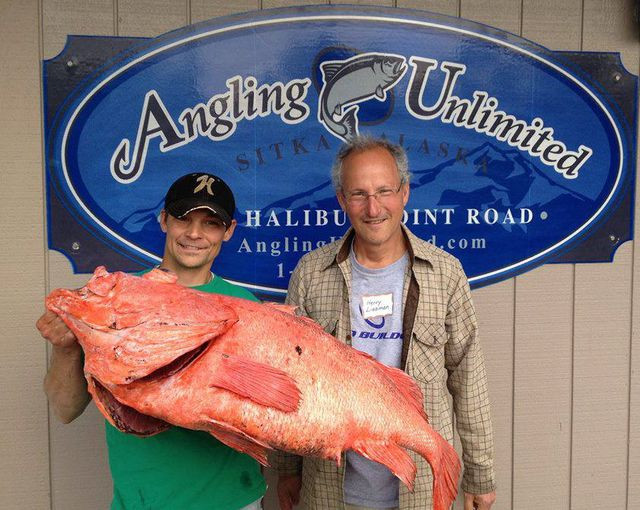 Vòng đời của cá Rougheye có thể kéo dài 200 năm. Cá thể cá Rougheye sống lâu nhất được ghi nhận là 205 năm. Ảnh wordpress.