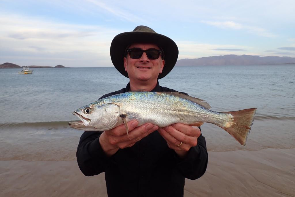 Mỗi mùa sinh sản, cá đù vàng phát ra tiếng "yêu" khá lớn và với số lượng bầy cá khổng lồ cất tiếng đồng loạt, tiếng “yêu” ấy được các nhà khoa học ví như "tiếng súng máy cực lớn". Ảnh roughfish.