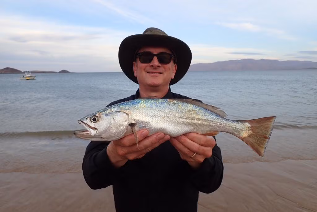 Mỗi mùa sinh sản, cá đù vàng phát ra tiếng "yêu" khá lớn và với số lượng bầy cá khổng lồ cất tiếng đồng loạt, tiếng “yêu” ấy được các nhà khoa học ví như "tiếng súng máy cực lớn". Ảnh roughfish.