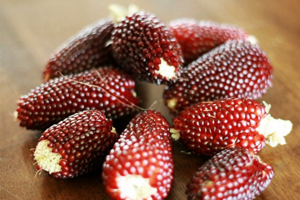 Không chỉ là một loại thực phẩm, ngô lai dâu tây còn chứa nhiều dưỡng chất như chất xơ, vitamin C, chất chống oxy hóa,...Bên cạnh đó, nó còn được dùng để trang trí do có hình dáng và màu sắc bắt mắt. Ảnh lnwfile.