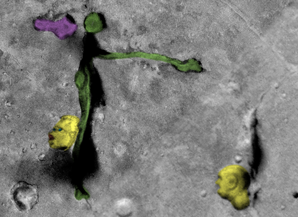 Sung sot loat di tich la va bi an tren sao Hoa-Hinh-2