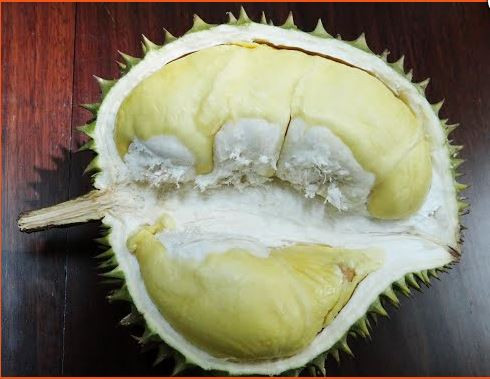 Sầu riêng chuồng bò được trồng chủ yếu ở miền Tây. Tên gọi của nó xuất phát từ việc một người nông dân phát hiện lần đầu tiên khi nó mọc gần chuồng nuôi bò. Ảnh marketonline.