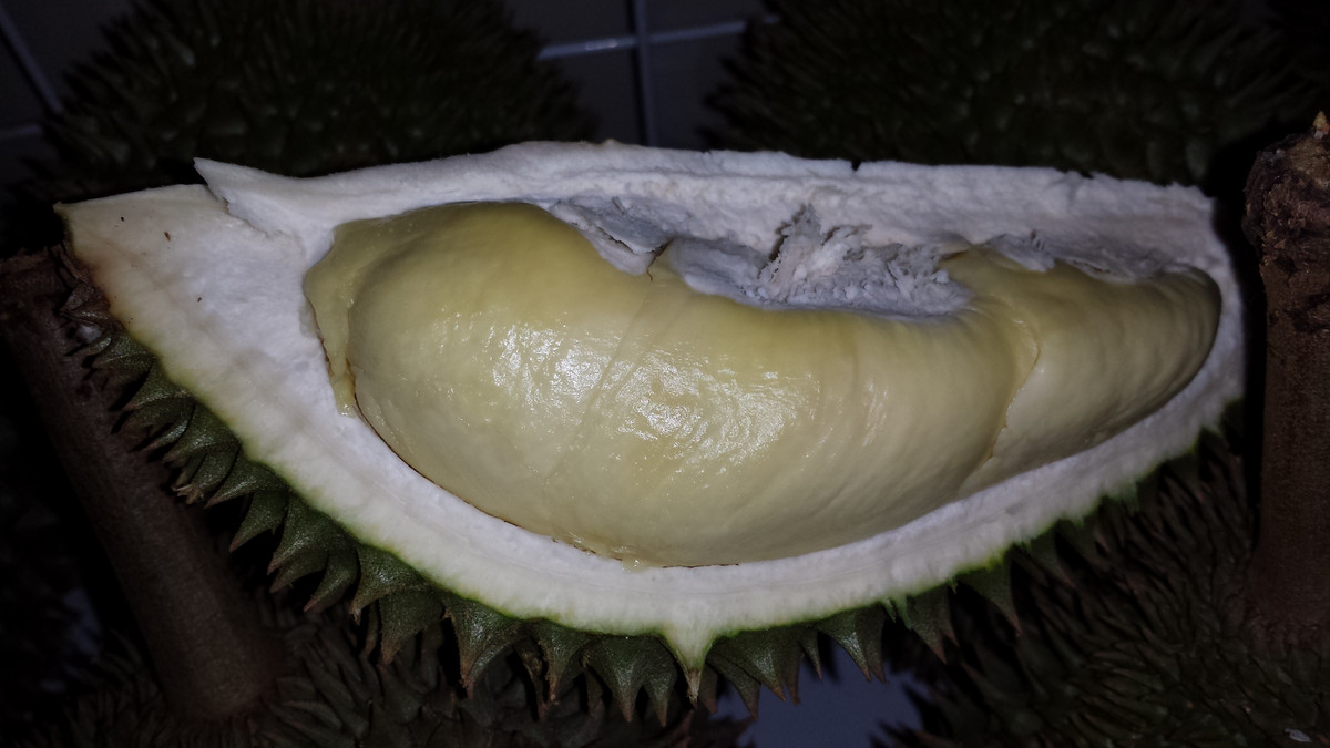 Ở nước ta, sầu riêng chuồng bò được trồng chủ yếu ở Tiền Giang, Bến Tre, Đồng Nai, Bình Phước...Ảnh betterlifecmc.