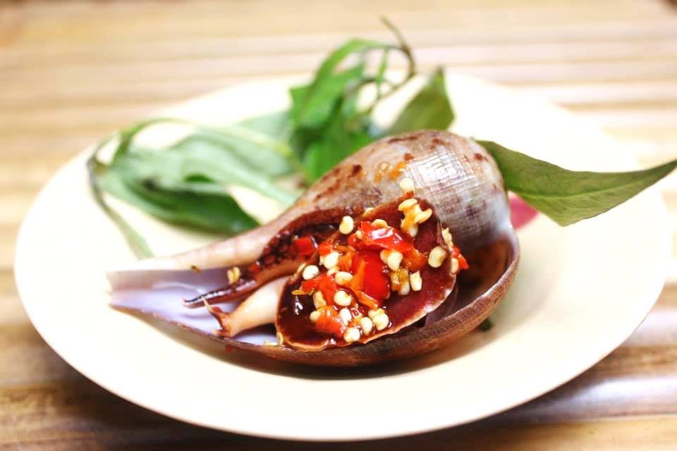 Ốc muỗng có vỏ mỏng màu hồng nhạt pha với màu nâu, đường xoắn ốc thấp. Ảnh facebook.