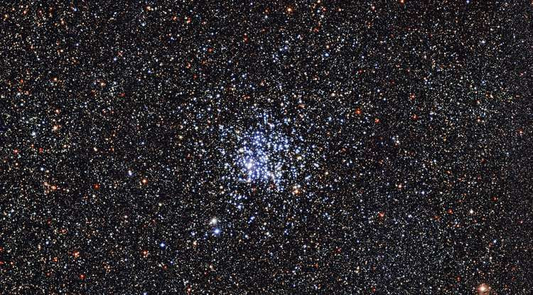 Thong tin thu vi ve cum sao bay vit hoang da