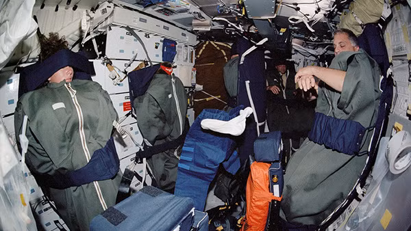 Nguồn ảnh: Google. Nguồn ảnh: Google.