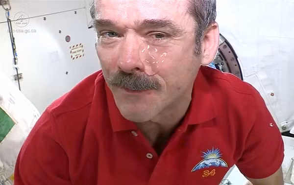 Nguồn ảnh: Google. Nguồn ảnh: Google.