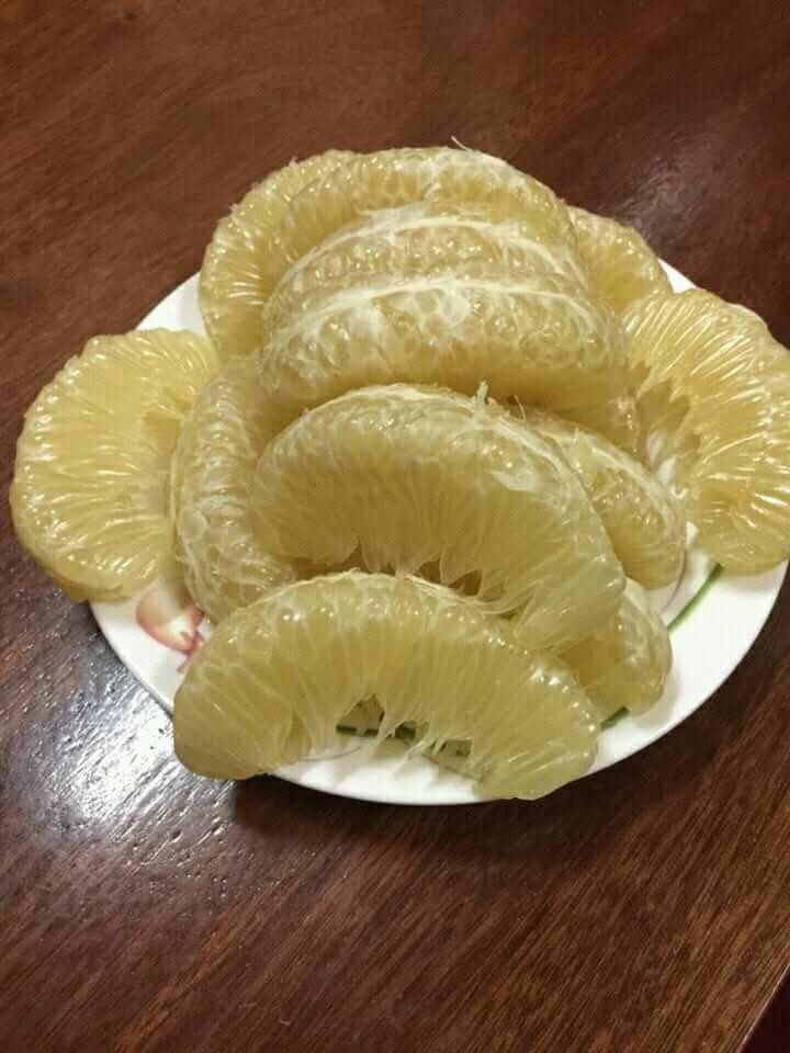 Những năm đầu, bưởi tôm vàng cho thu bói nên chất lượng chưa cao. Khi cây bưởi ở năm thứ 7 trở đi, chất lượng quả thơm ngon và rất sai quả. Ảnh buoidienbaominh.