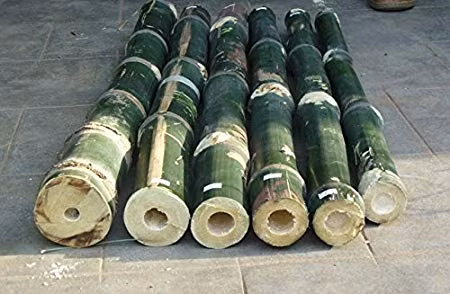 Ở Việt Nam, cây lồ ô mọc phổ biến từ tỉnh Quảng Nam trở vào, tập trung nhất ở phần Nam Tây Nguyên (chủ yếu là tỉnh Lâm Đồng) và vùng Đông Nam Bộ. Ảnh amazon.