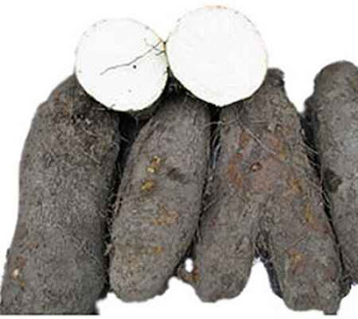 Còn ở một số nơi tại Việt Nam, khoai vạc là một trong những loại cây đặc sản, chủ lực trong cơ cấu nông nghiệp. Ảnh blogspot.