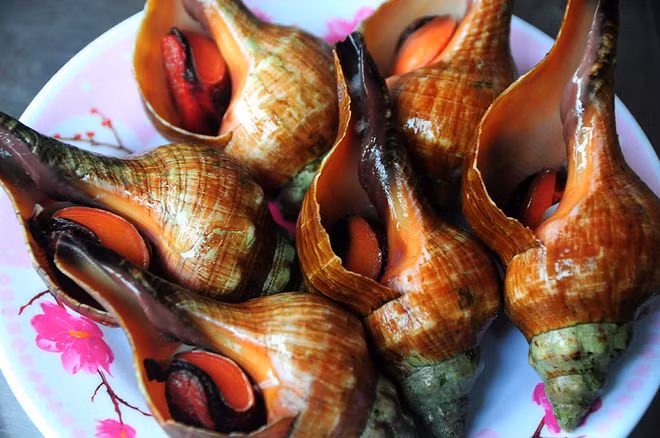 Ốc đỏ có thể chế biến thành rất nhiều món ngon cho các bữa tiệc như gỏi ốc đỏ, ốc đỏ nướng mirin, ốc đỏ nướng nước mắm... Ảnh pinimg.