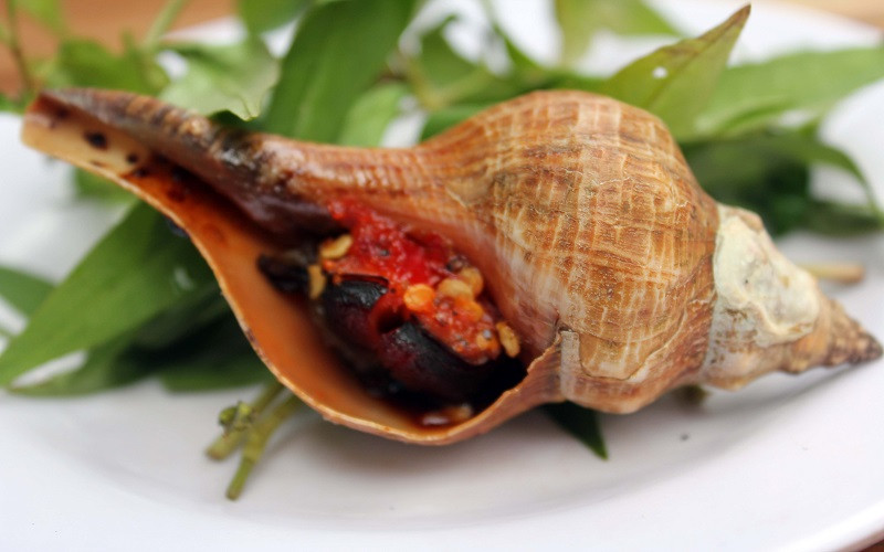 Tuy nhiên, ốc đỏ được khai thác nhiều nhất ở đảo Phú Quý và huyện Tuy Phong - Bình Thuận. Ảnh blogspot.