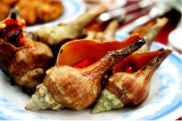 Ốc đỏ là loại ốc nổi tiếng ở vùng biển phía nam như Phan Thiết, Phú Quốc, Quảng Nam, Quảng Ngãi, Khánh Hòa… Ảnh hstatic.