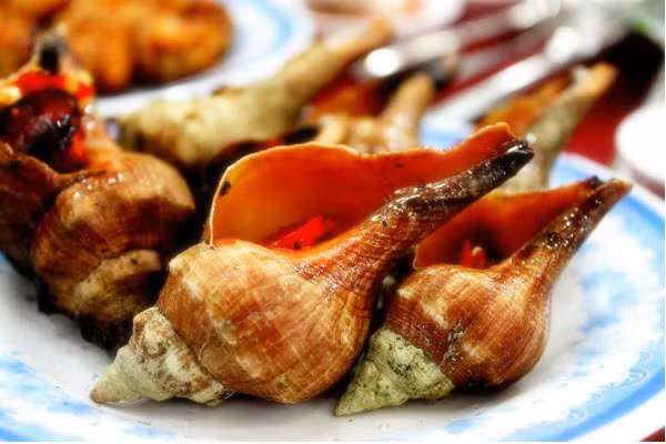 Ốc đỏ là loại ốc nổi tiếng ở vùng biển phía nam như Phan Thiết, Phú Quốc, Quảng Nam, Quảng Ngãi, Khánh Hòa… Ảnh hstatic.