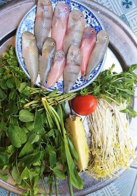 Cá mó được chế biến thành nhiều món như nấu lẩu, làm gỏi, nấu canh chua... Ảnh baoquangngai.