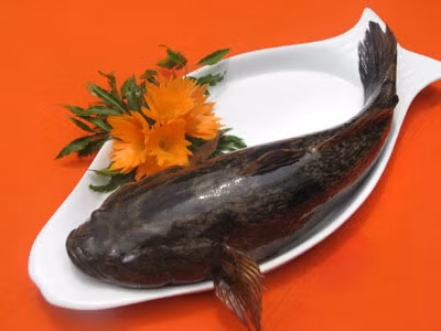 Cá bống tượng có thân hình thoi tròn, da bóng, nhiều nhớt, mình cá có nhiều màu đen, điểm thêm ít vằn nâu, dưới đuôi có hình chữ V màu đen. Ảnh giadinhhaisan.