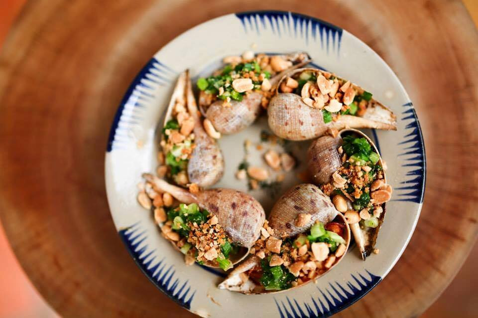 Điểm nổi bật nhất của ốc muỗng là miệng của nó trải dài gần như toàn bộ chiều dài của thân. Ảnh facebook.