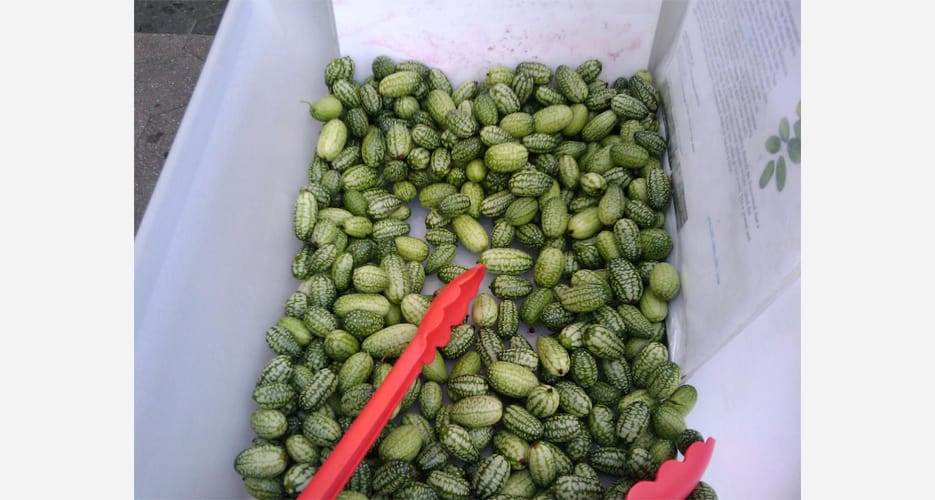 Nguồn ảnh: Oddee