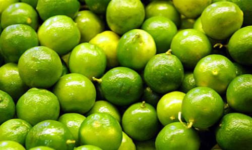 Chanh bông tím ít gai, tán lá dày, hoa nở theo chùm có mùi thơm. Cây chanh bông tím ưa nắng nên nắng càng mạnh thì cây càng phát triển tốt. Ảnh dentrangtriachay.