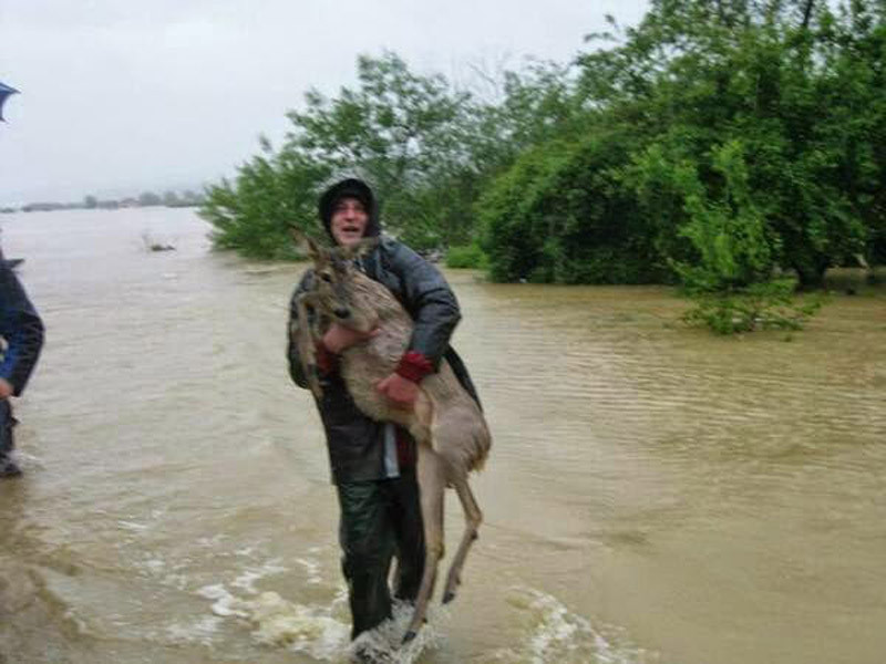 Khuôn mặt hồ hởi, vui mừng của người đàn ông khi cứu được một chú hươu. Ảnh: giveitlove.