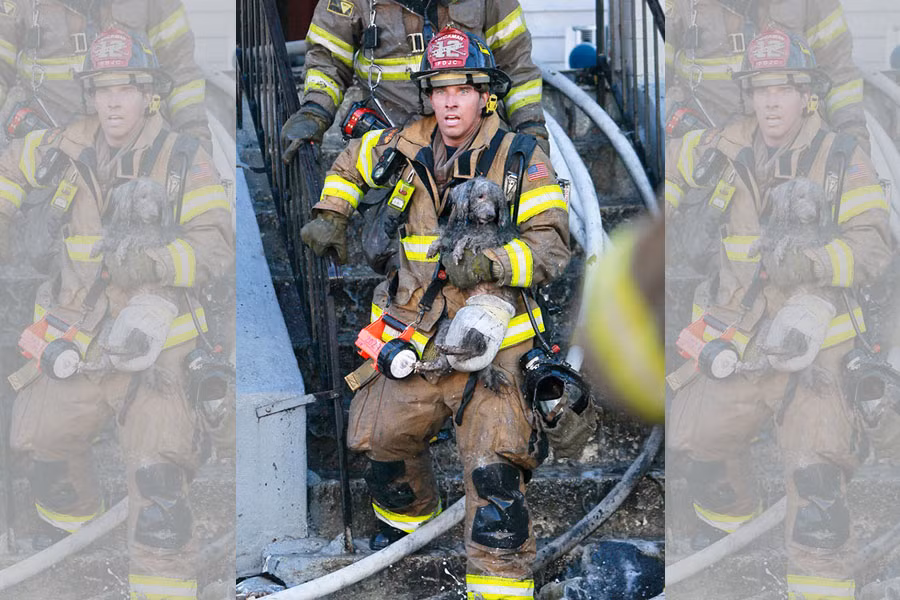 Chú chó Joseph được anh lính cứu hỏa Ray Spellmyer giải thoát trong một vụ cháy.