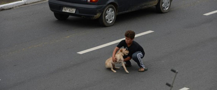 Cậu bé này nhìn thấy một chú chó đang lạc lõng giữa dòng xe và ngay lập tức, cậu bé chạy đến ôm chú chó nhỏ lên và đưa con vật tội nghiệp đang run lên vì sợ hãi đến vị trí an toàn.