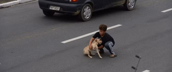 Cậu bé này nhìn thấy một chú chó đang lạc lõng giữa dòng xe và ngay lập tức, cậu bé chạy đến ôm chú chó nhỏ lên và đưa con vật tội nghiệp đang run lên vì sợ hãi đến vị trí an toàn.