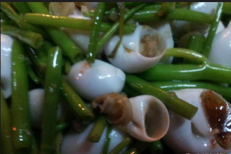 Cả phần vỏ và phần thịt ốc bạch ngọc đều có một màu trắng như sữa. Ảnh Foody.