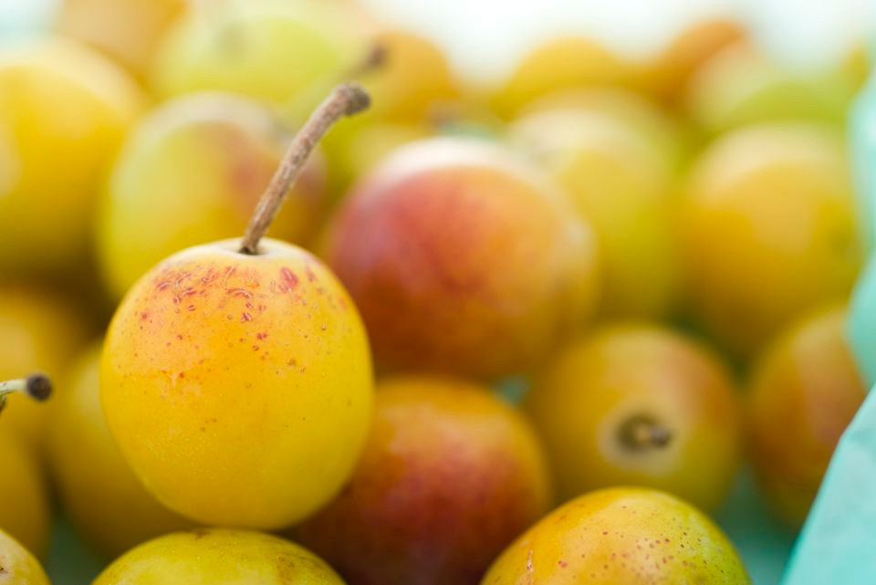 Tuy nhiên, mận vàng mirabelle vùng Lorraine nổi tiếng là thơm ngon nhất nhờ có nhiều vị ngọt. Ảnh nctodo.