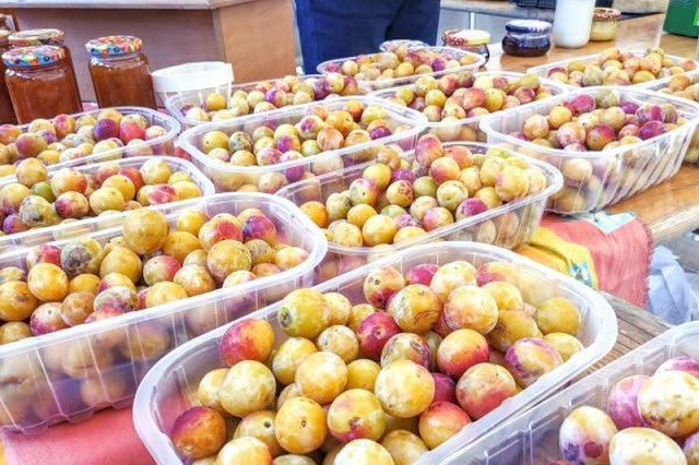 Mận vàng mirabelle chỉ được tìm thấy vào mùa hè ở Pháp. Ảnh blogspot.