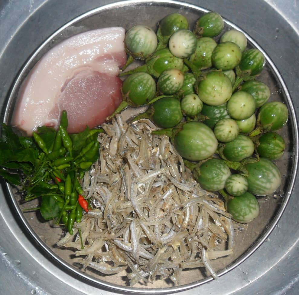 Quả cà đắng còn được cho là có công dụng làm tăng sức đề kháng, giúp cơ thể chống chọi với bệnh tật. Ảnh thuthachviet.