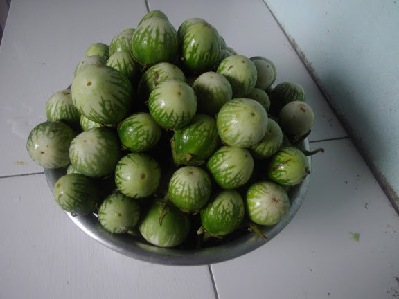 Ở Tây Nguyên, cà đắng được xem là món đặc sản và dễ tìm thấy trong hầu hết các nhà hàng ở đây. Ảnh googleusercontent.