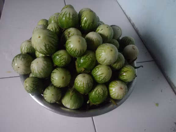 Ở Tây Nguyên, cà đắng được xem là món đặc sản và dễ tìm thấy trong hầu hết các nhà hàng ở đây. Ảnh googleusercontent.