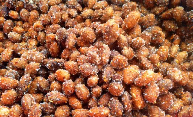 Cây xay là cây thân gỗ cao từ 30m - 40m nên nhiều người dân chọn cách leo cây để thu hoạch quả xay rừng. Ảnh paragonhotel.