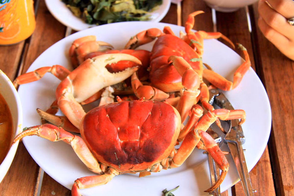 Cua dẹp là động vật biển nhưng sống trên rừng. Đến mùa sinh sản, chúng thường di cư xuống những vùng biển nông quanh đảo để đẻ trứng. Ảnh haisantuoisachbienhoa.