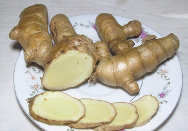 Cây nghệ trắng còn có tên gọi khác là nghệ rừng, ngải dại, ngải mọi, ngải trắng, nghệ thơm. Tên khoa học của nó là Curcuma aromatica. Ảnh plo.