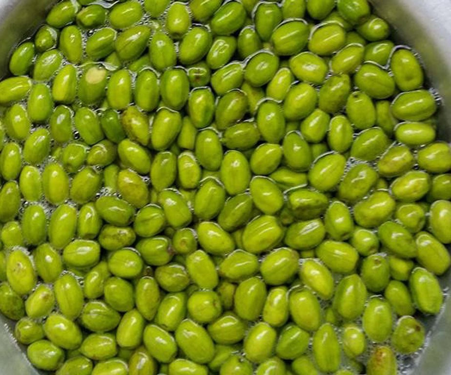 Đặc biệt, vỏ quả cà na có thể được dùng để hãm nước cho phụ nữ mới sinh đẻ uống. Ảnh binhminhsongtrang.