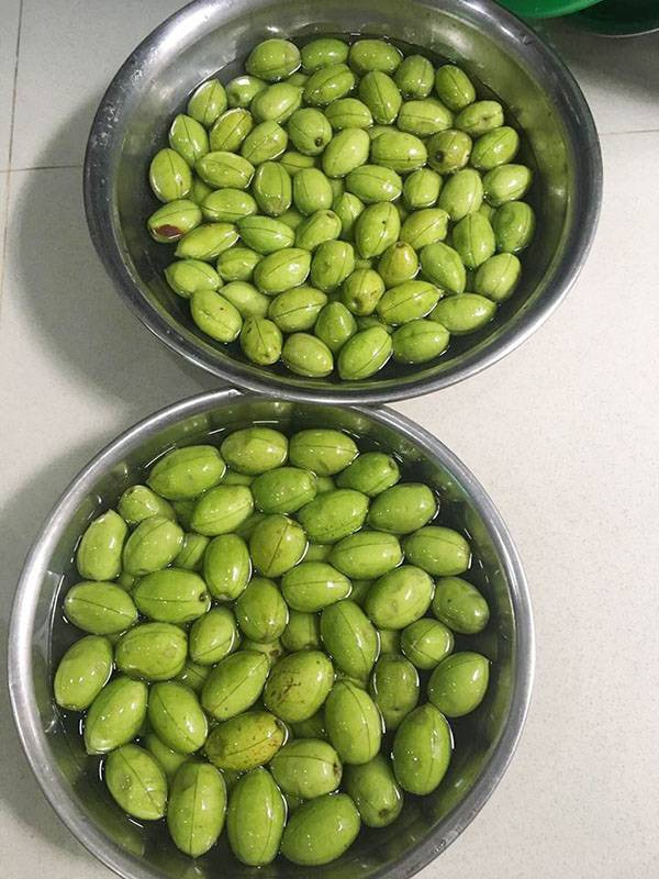 Bên cạnh đó, quả cà na còn có hàm lượng canxi cao, sắt, vitamin C giúp chữa viêm vọng mạn tính, chữa ho, bệnh ngoài da,...Ảnh vncdn.