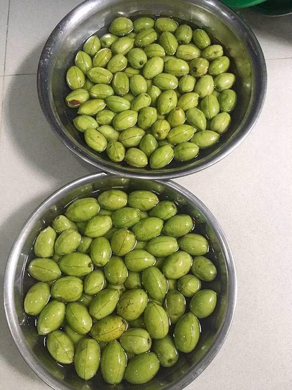 Bên cạnh đó, quả cà na còn có hàm lượng canxi cao, sắt, vitamin C giúp chữa viêm vọng mạn tính, chữa ho, bệnh ngoài da,...Ảnh vncdn.