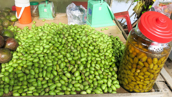 Quả cà na có hình thuôn tròn, giống quả muỗm. Khi xanh quả có vị chát, khi chín có vị chua. Ảnh baosoctrang.