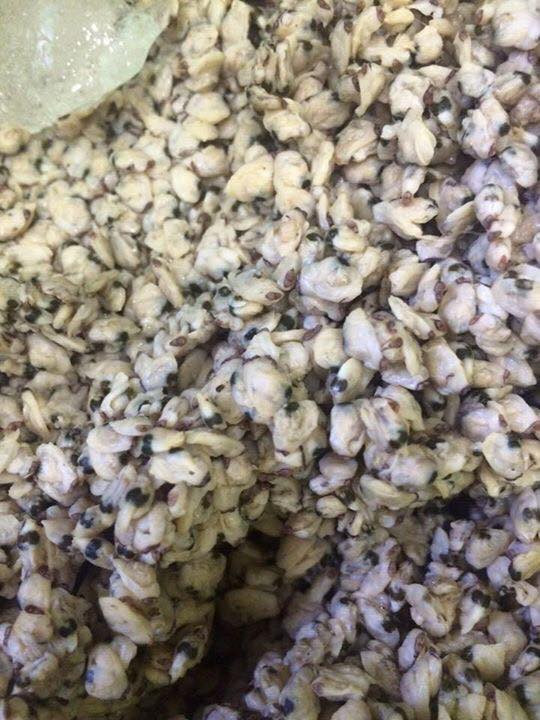 Vào cuối tháng 4, đầu tháng 5 âm lịch là bắt đầu vào mùa vụ khai thác dắt. Ảnh facebook.