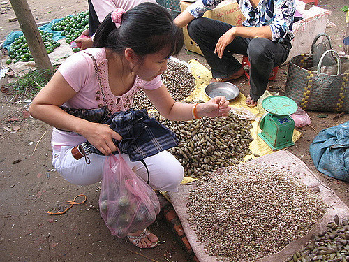 Con dắt có kích thước nhỏ hơn con hến. Đây là loài nhuyễn thể vỏ 2 mảnh họ hàng với sò, nghêu, tu hài… Ảnh staticflickr.