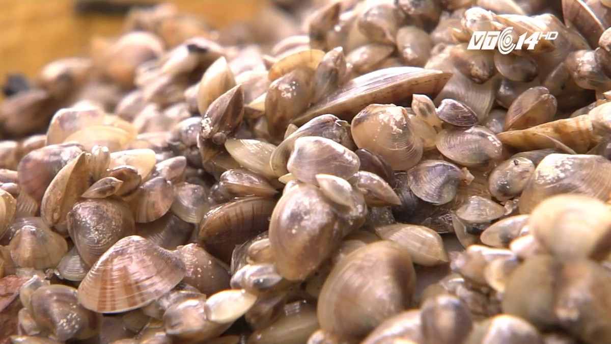 Ngoài làm thức ăn, dắt được dùng làm thức ăn cho tôm cá. Ảnh ytimg.