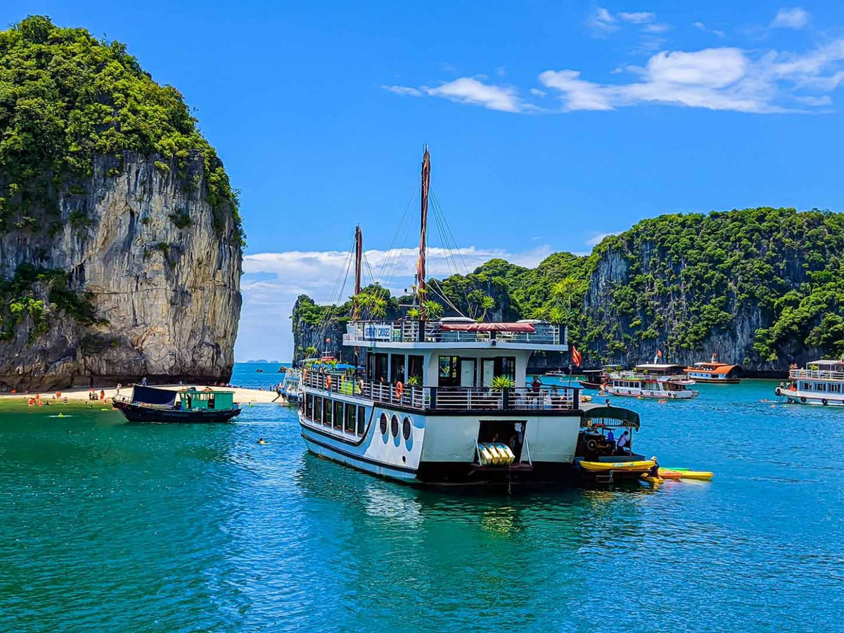 Các đảo đá vôi trong vịnh Lan Hạ đều được phủ thảm thực vật xanh mướt, hòa với màu nước biển xanh trong veo bên dưới. Ảnh: Vương Lộc