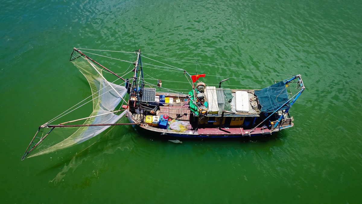 Năm 2020, Vịnh Lan Hạ được Hội đồng Hiệp hội các vịnh đẹp nhất thế giới (MBBW) chính thức công nhận là một trong các vịnh đẹp nhất thế giới và trở thành thành viên thứ 46 của Hiệp hội. Ảnh: Vương Lộc