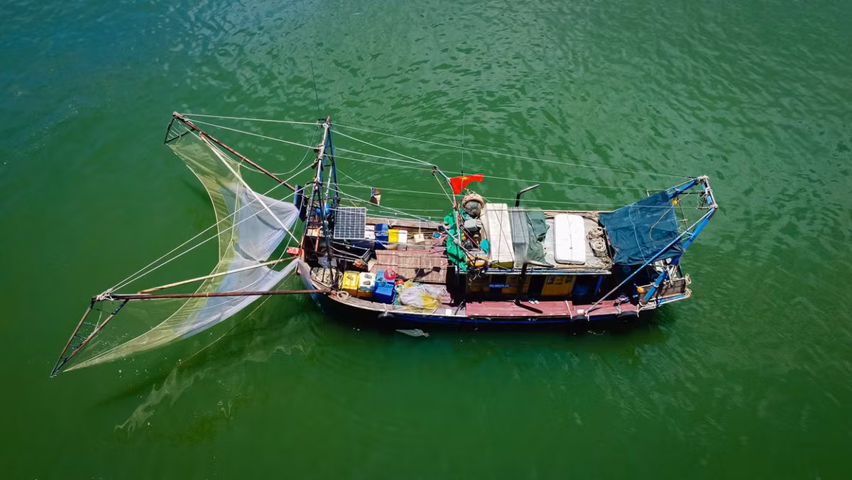 Năm 2020, Vịnh Lan Hạ được Hội đồng Hiệp hội các vịnh đẹp nhất thế giới (MBBW) chính thức công nhận là một trong các vịnh đẹp nhất thế giới và trở thành thành viên thứ 46 của Hiệp hội. Ảnh: Vương Lộc