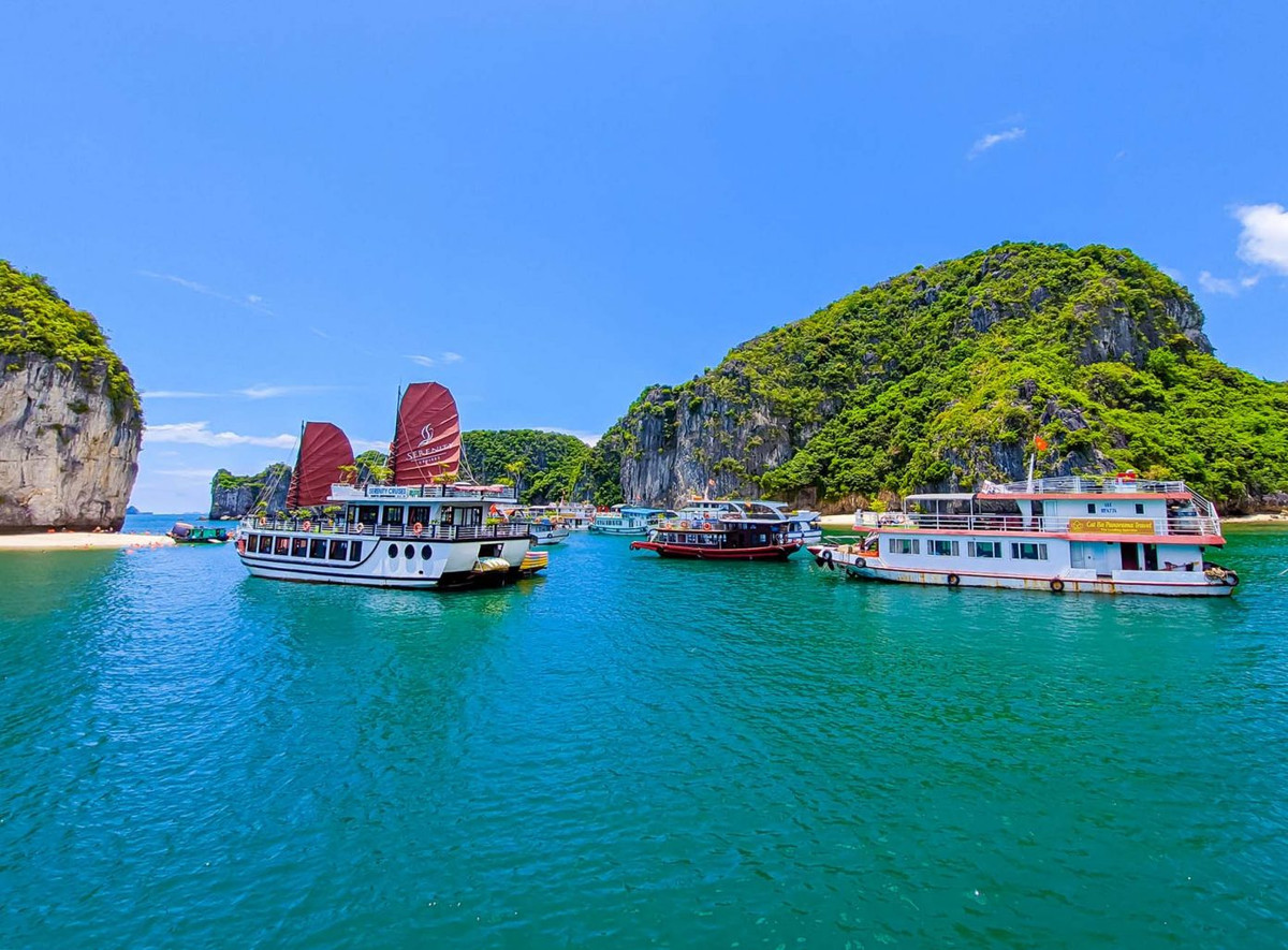 Một góc vịnh Lan Hạ. Ảnh: Vương Lộc